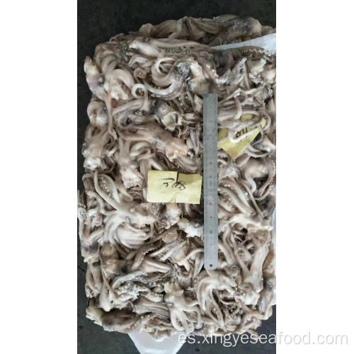 Tentacle Squid Frozen Illex Argentinus 80-100G